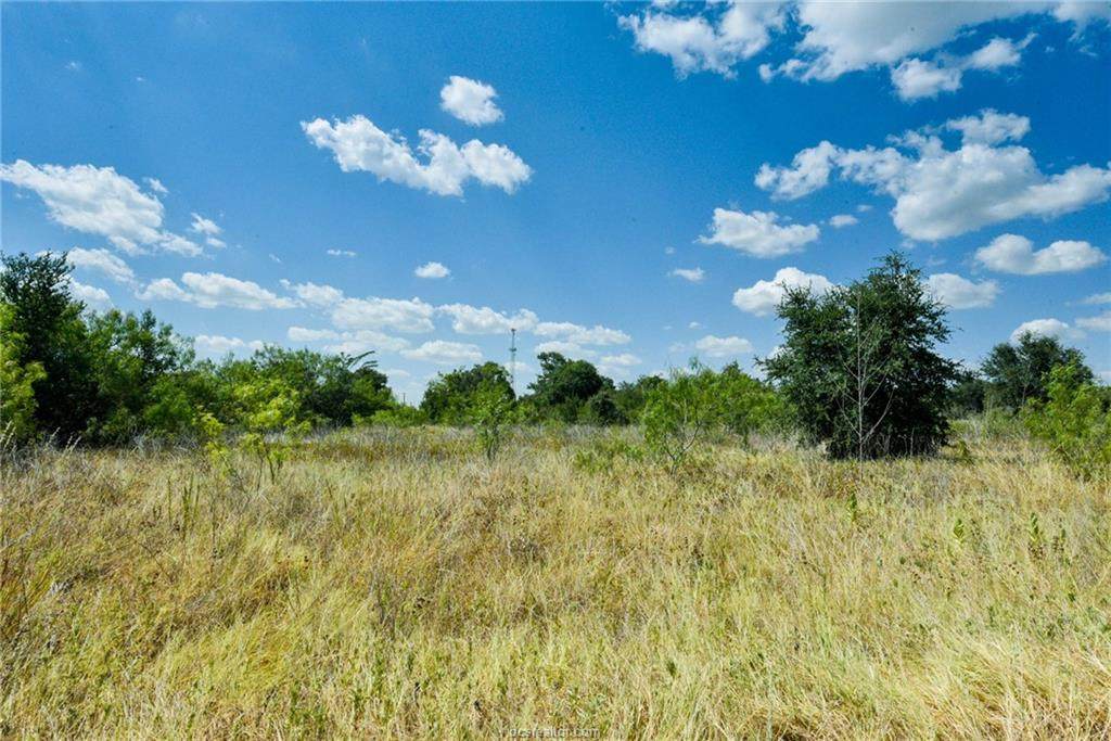 11547 St Hwy 21 W - Photo 1