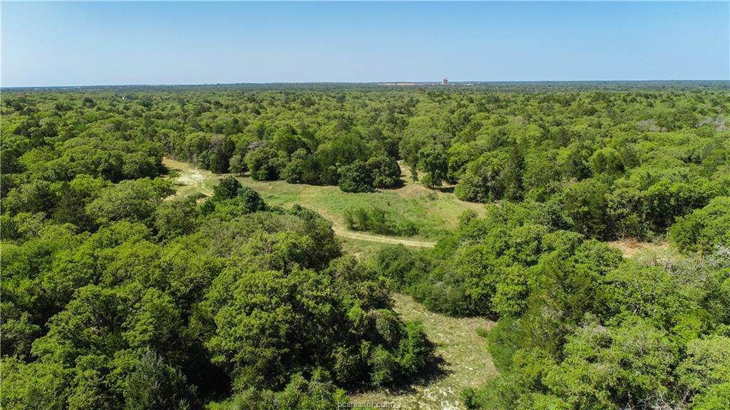 TBD County Road 324 (+/-45 Acres) - Photo 1