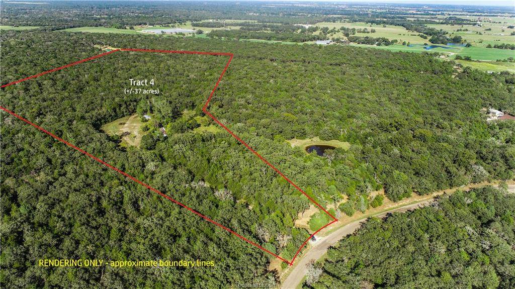 TBD County Road 324 (+/-37 Acres) - Photo 1