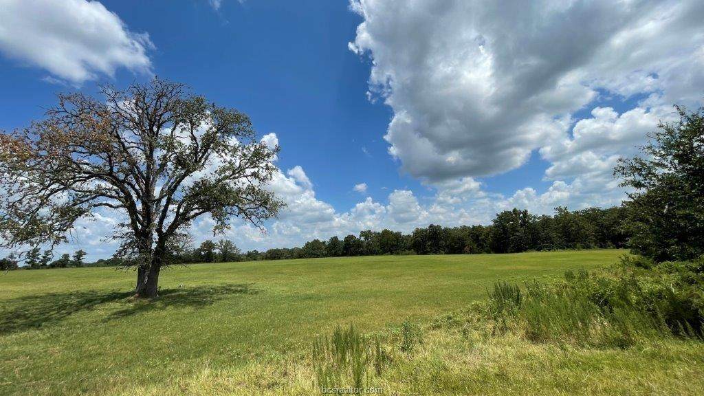 2531 Fm 1940 (+/- 24.5 Ac) - Photo 1