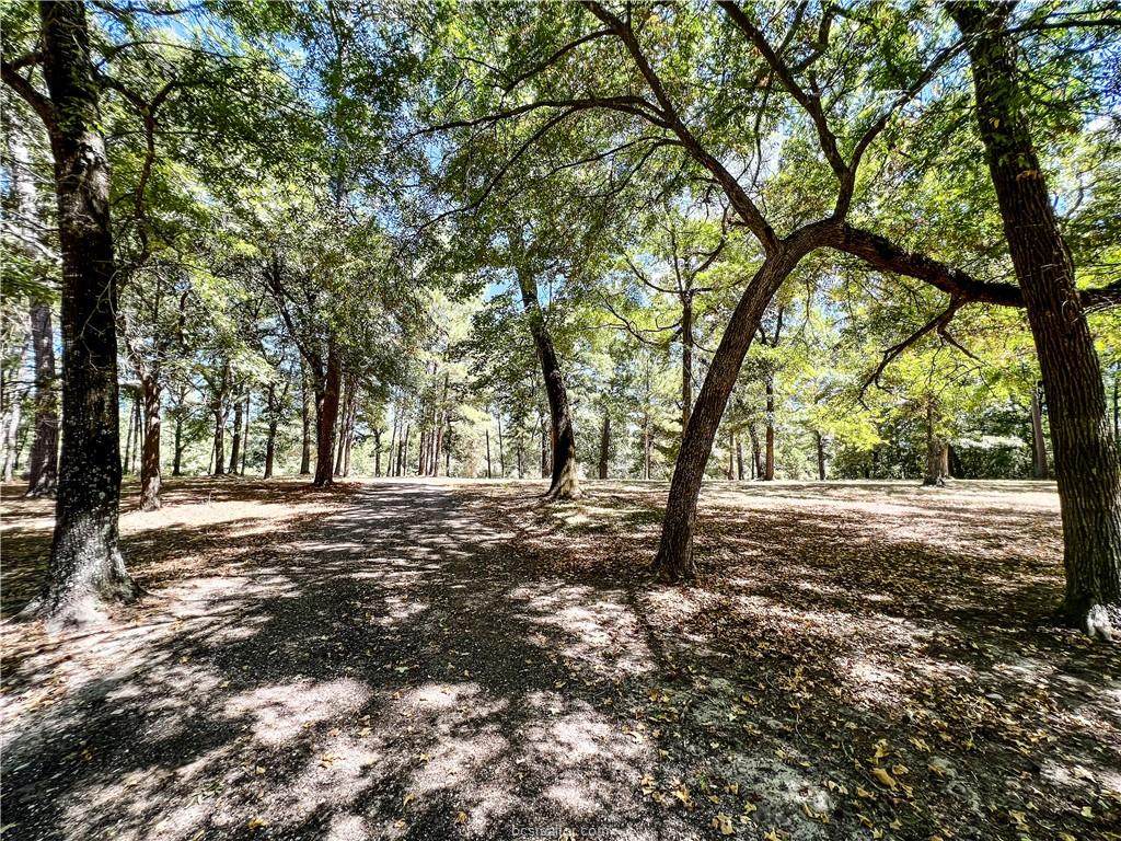 293 Robinson Creek - Photo 1