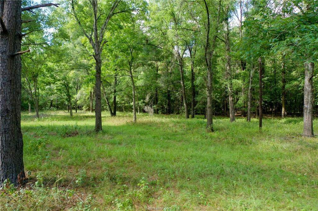 2495 Pr 1195 - Photo 1