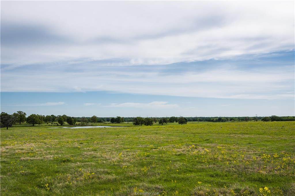 16023 Reagan Loop - Photo 1