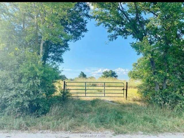 TBD Hackett Branch Road - Photo 1