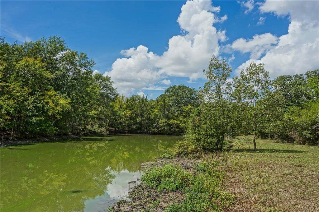Tract 2 County Road 124 - Photo 1