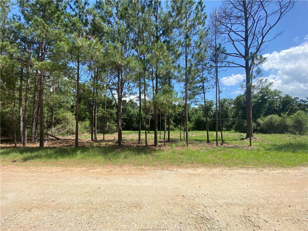 69 Nassau Lane - Photo 1