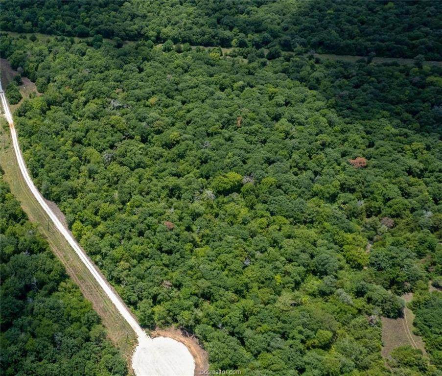 Tract 9 Sawmill Road (8.9 Acres) - Photo 1