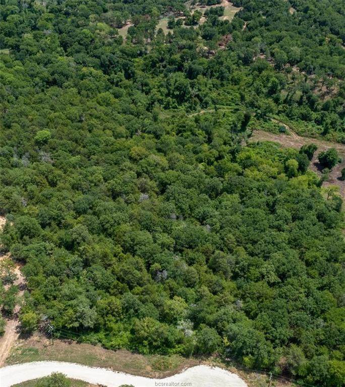 Tract 11 Sawmill Road (7.36 Acres) - Photo 1