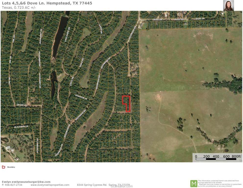 Lots 4,5,&6 Dove Ln. - Photo 1
