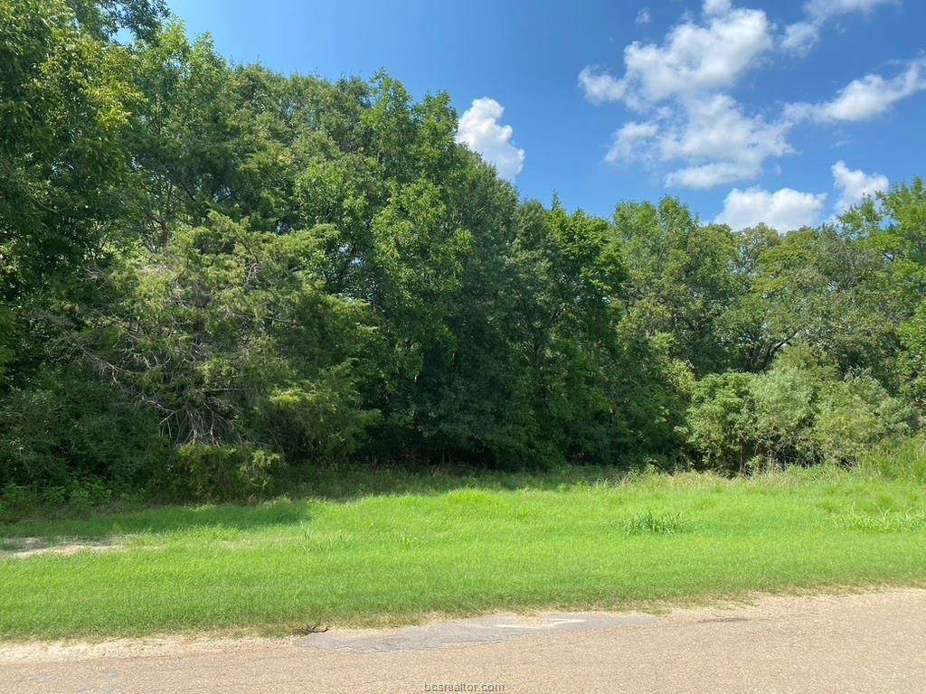 TBD Mallard Drive - Photo 1