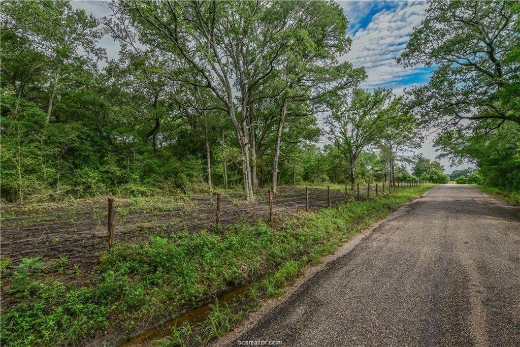 651 County Road 379 (+/-2 Acres) - Photo 1