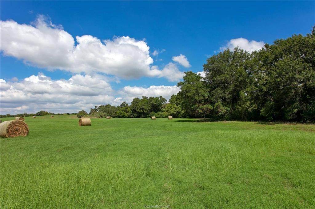7123 Boone Prairie (+/-30 Ac) - Photo 1