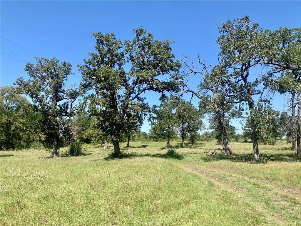 000 County Road 137 - Photo 1