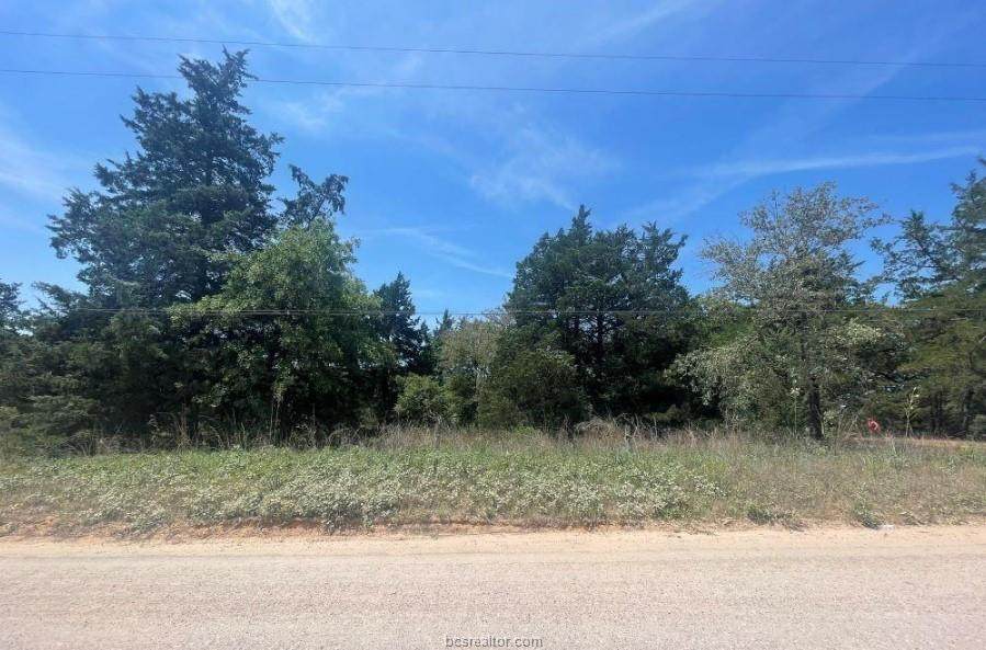TBD Pecan Drive - Photo 1