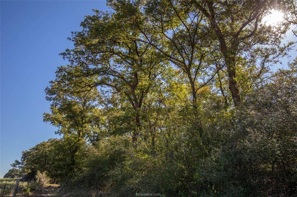 12943 Bartkowiak Road - Photo 1