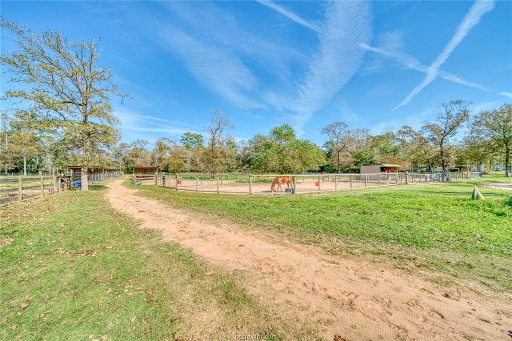 TBD Walnut Creek Road - Photo 1