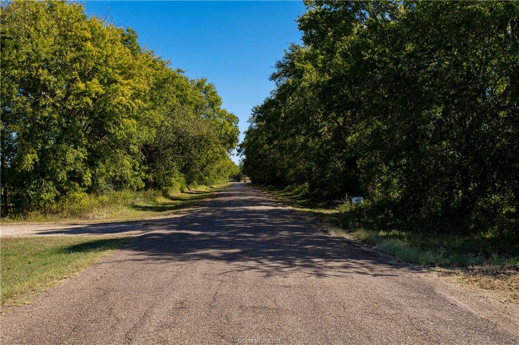 TBD (9.48 Acres) County Road 328 - Photo 1