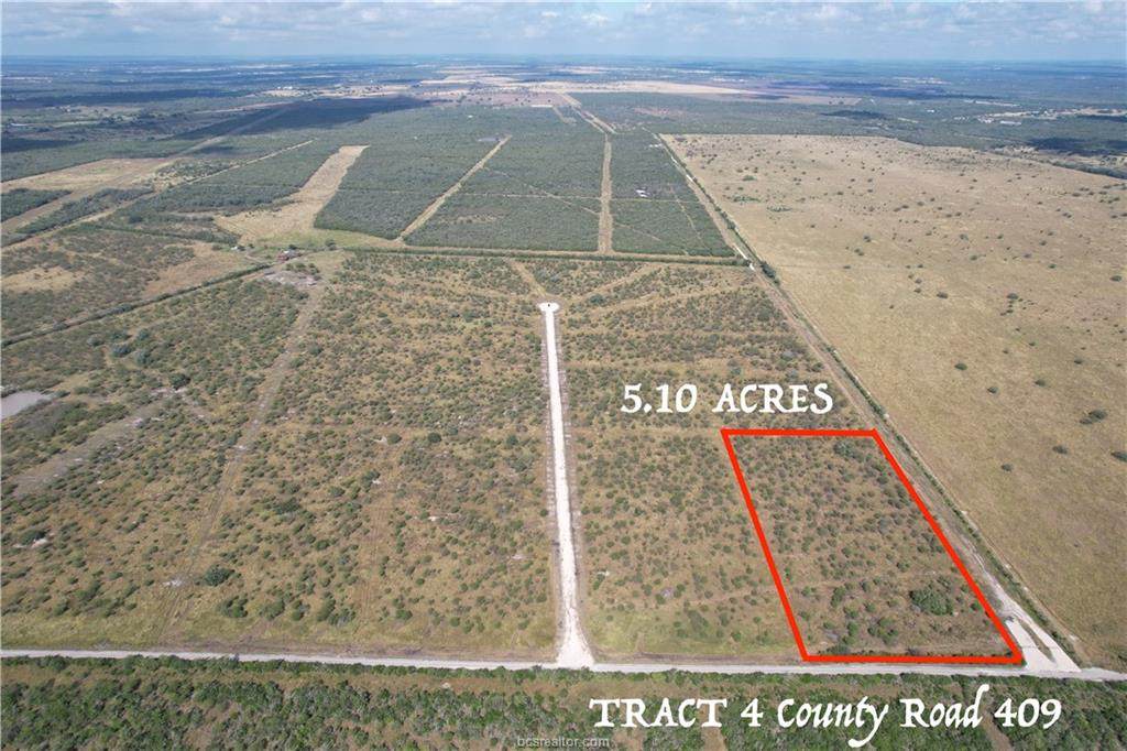 Tract 4 County Road 409 - Photo 1
