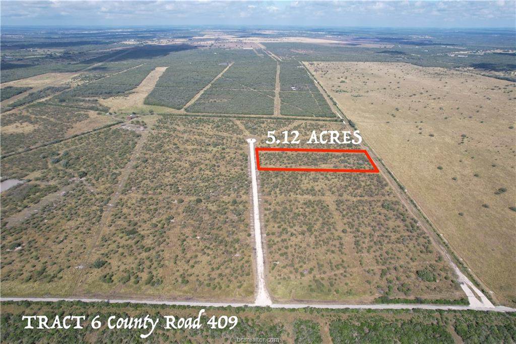 Tract 6 County Road 409 - Photo 1
