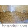 5121 Lost Oak Drive - Photo 1
