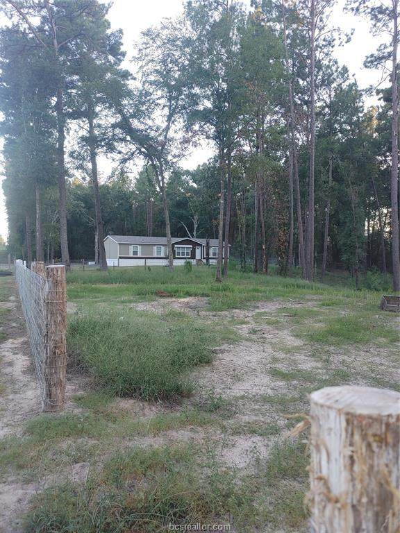 8460 County Road 234 - Photo 1