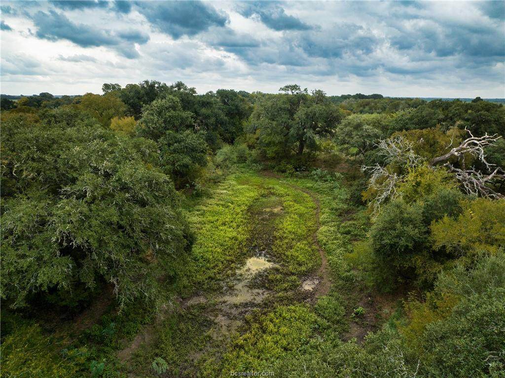 TBD County Road 276, Snook, TX 77878 (23013458) Armstrong Properties