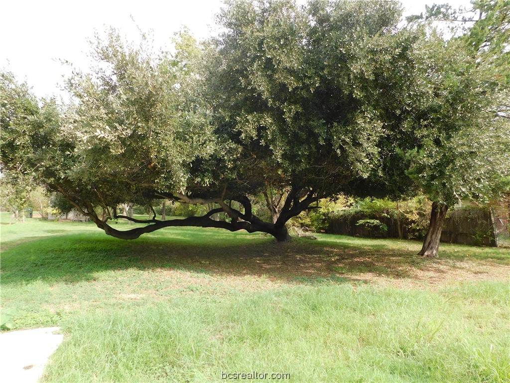 TBD Palasota Drive - Photo 1
