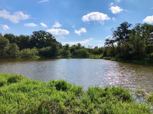 TBD County Road 120 - Photo 1