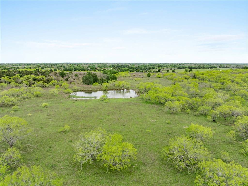 TBD (+/- 40 Acres) County Road 106 - Photo 1
