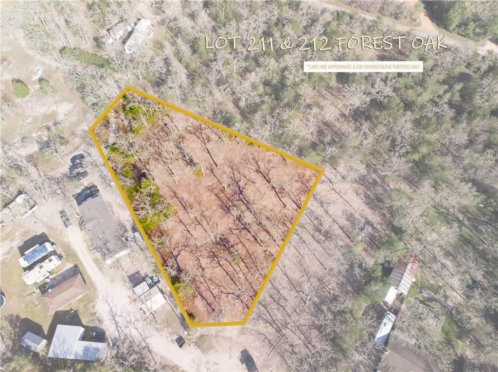 Lots 211 & 212 Forest Oak Road - Photo 1