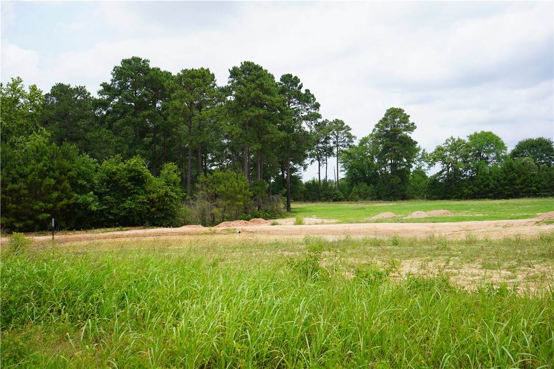 4845 Long Shadows Road - Photo 1