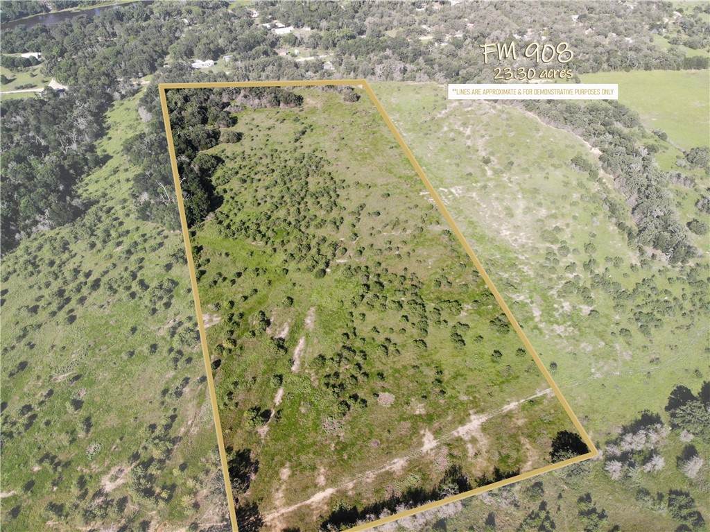 23.2218 Acres Fm 908 - Photo 1