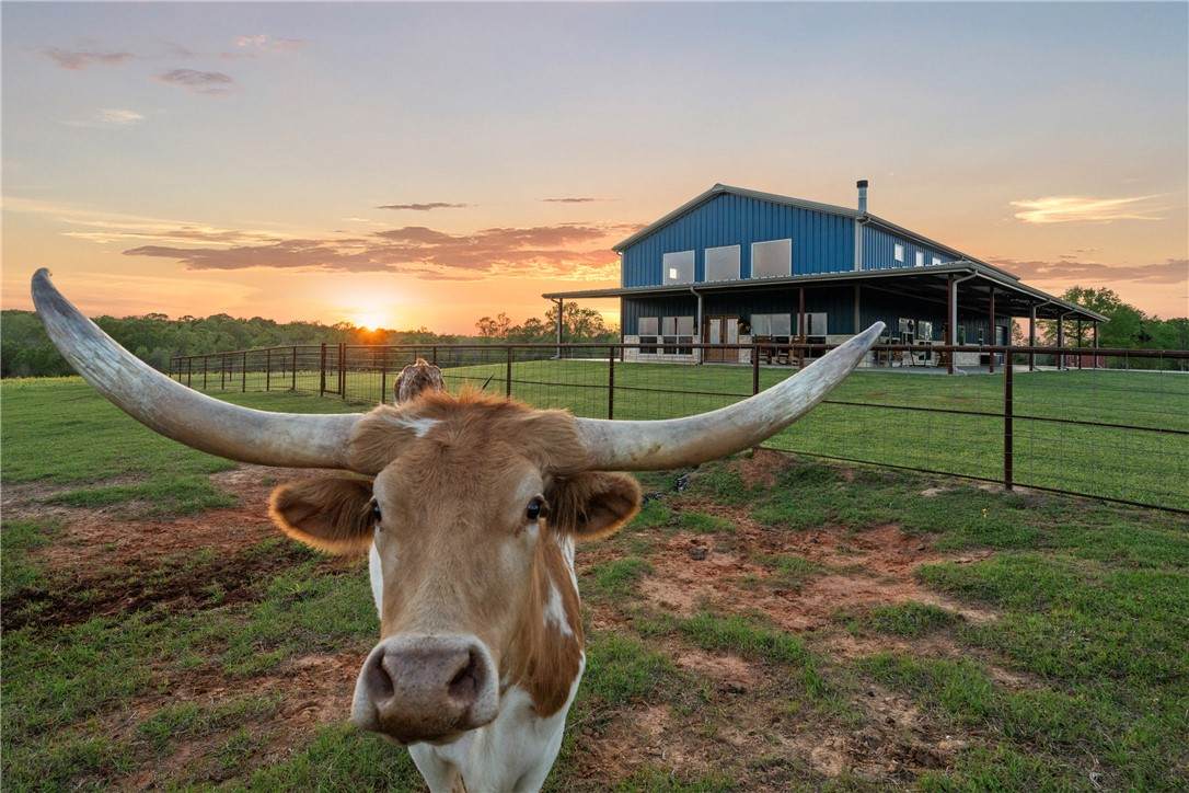 3200 State Highway 75 N - Photo 1