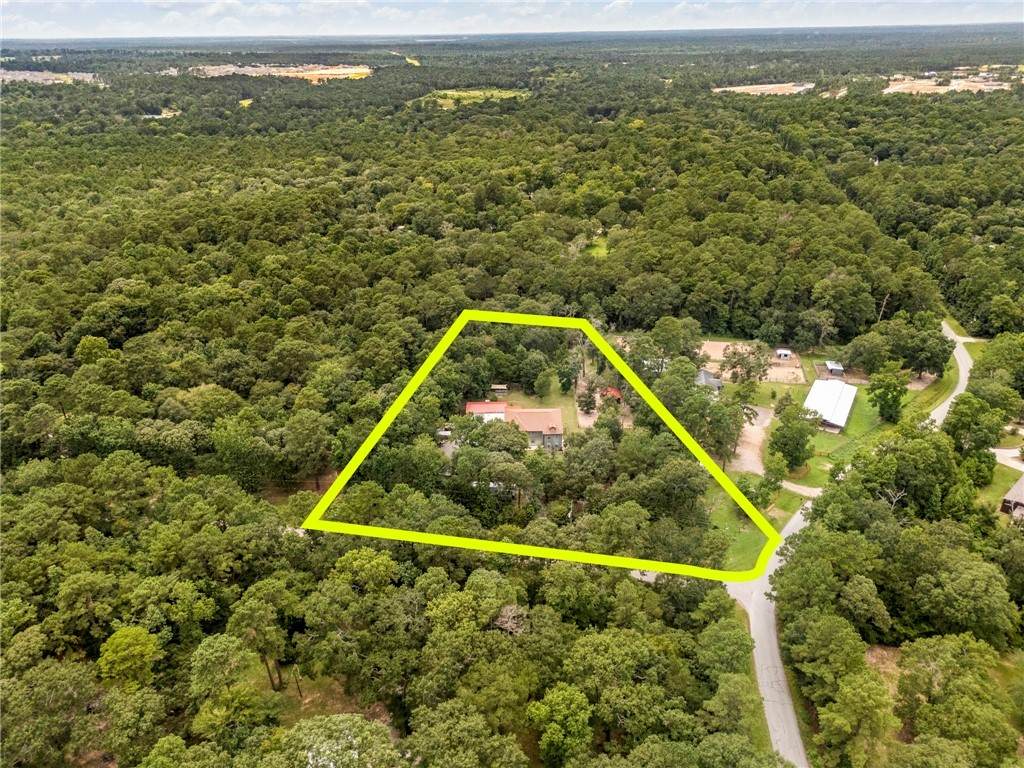 1823 Will Scarlett Street - Photo 1