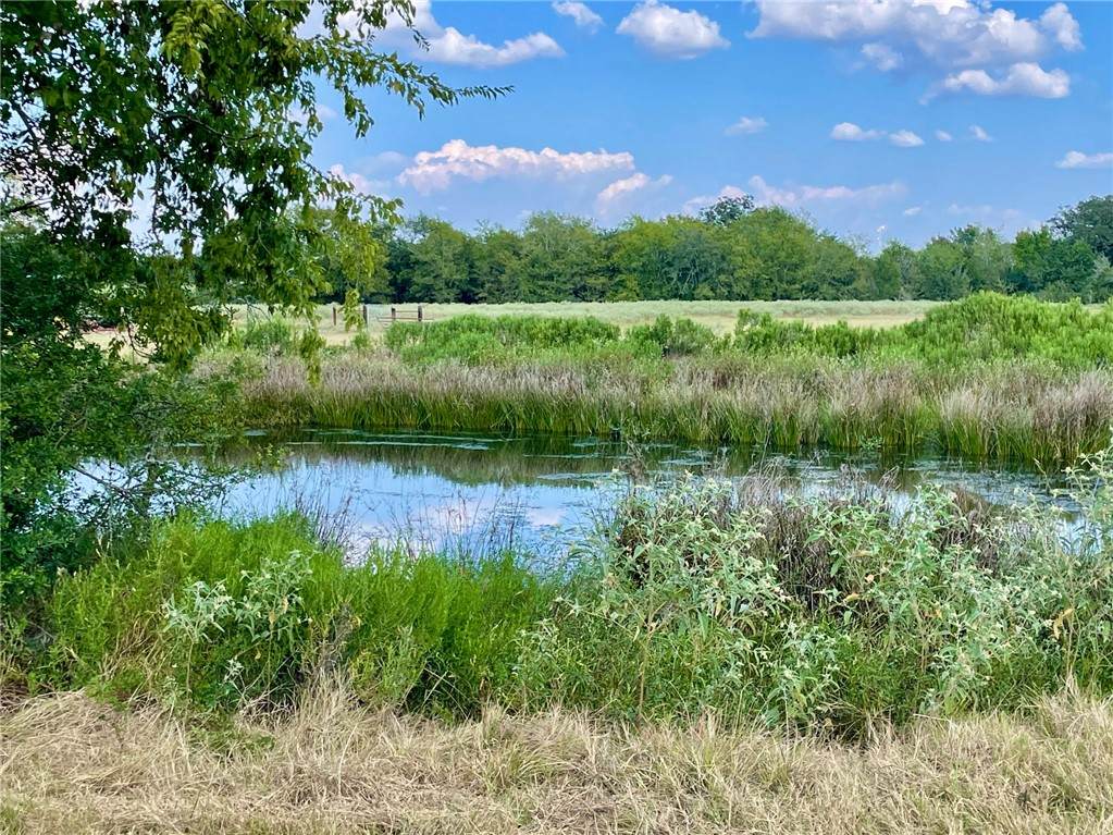 TBD Pleasant Grove Road - Photo 1