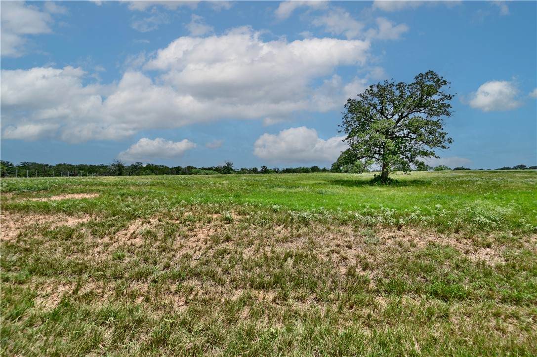 TBD 1-13 (2.0 Acres) New Moon - Photo 1