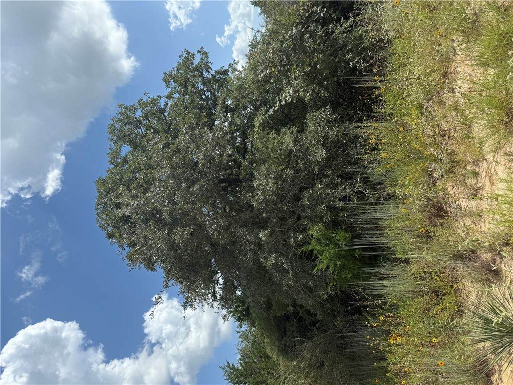 https://bt-photos.global.ssl.fastly.net/bcsmls/orig_boomver_1_25011231-2.jpg