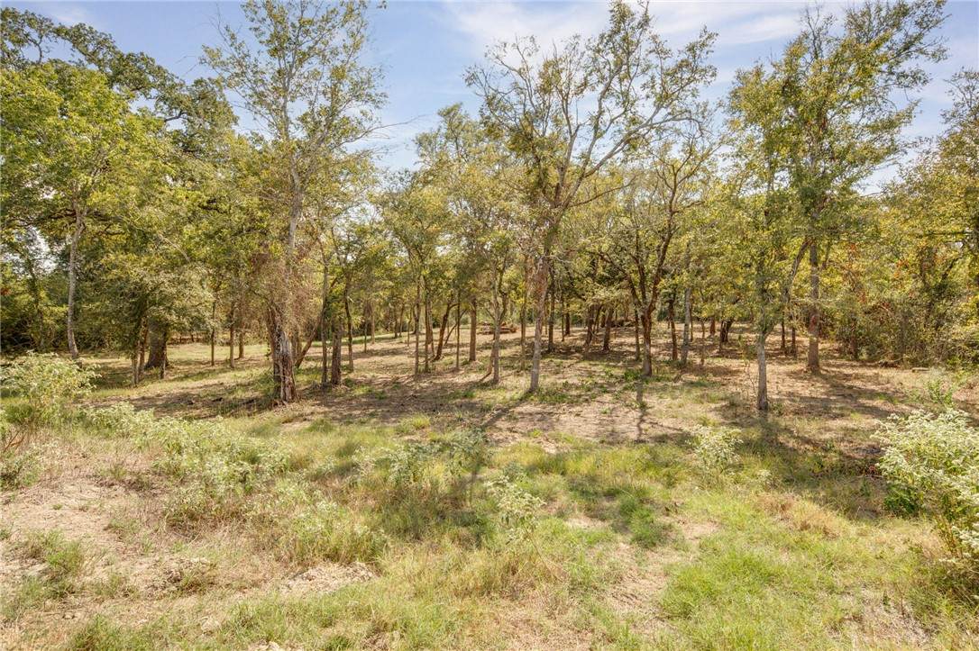 7730 Marys Way - Photo 1
