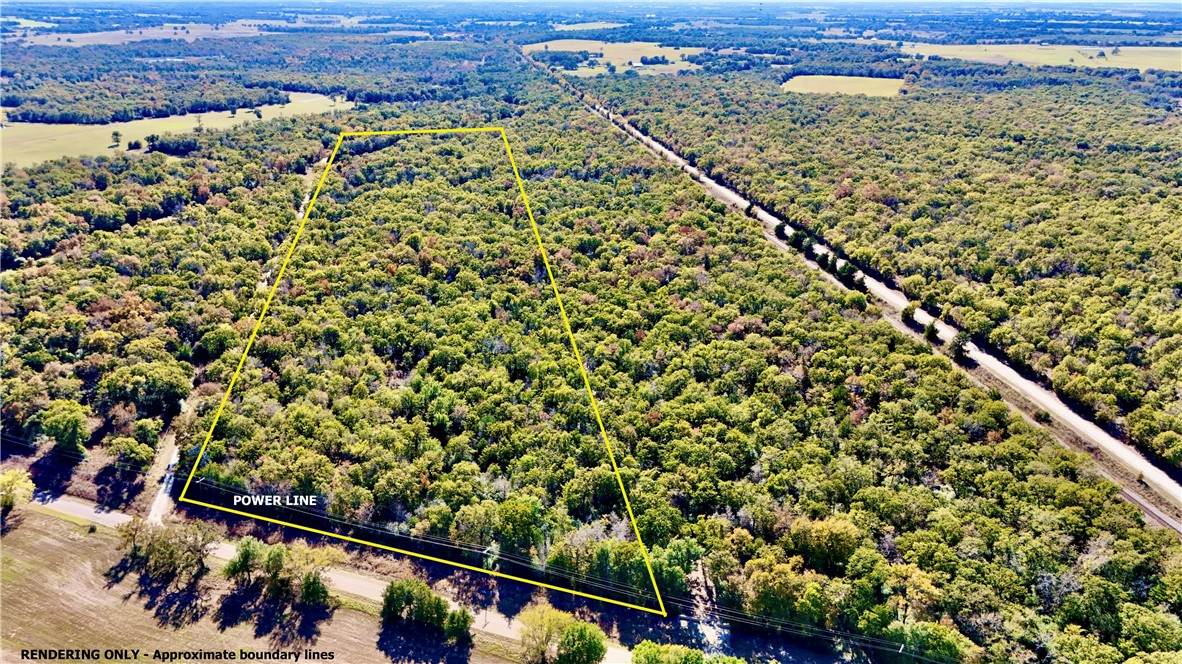 TBD County Road 276 (16 Acres) - Photo 1