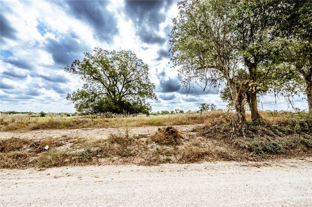 Lot 5 County Road 340 Countyroad - Photo 1
