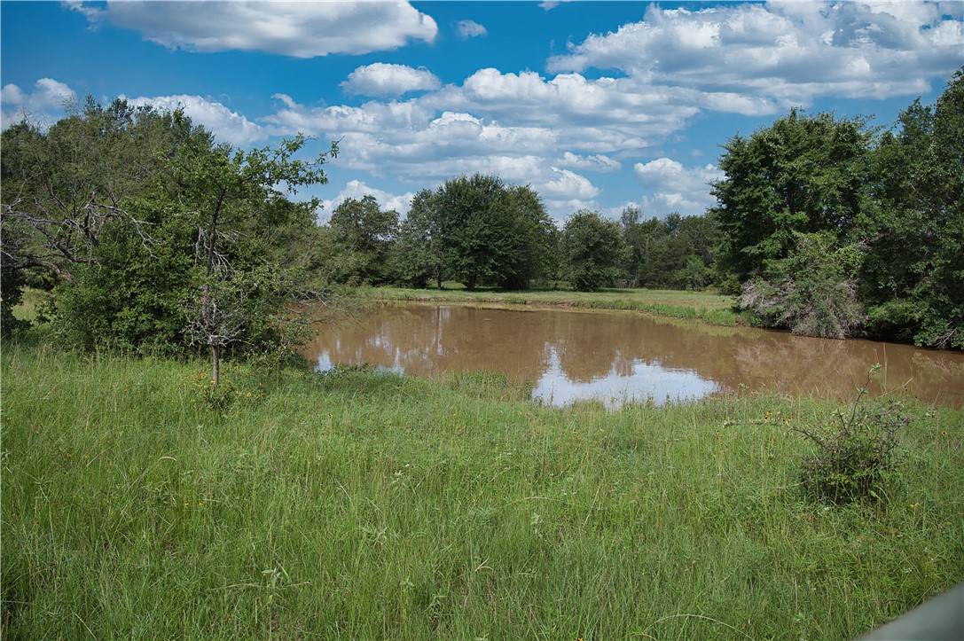 12538 E B Watson County Road - Photo 1