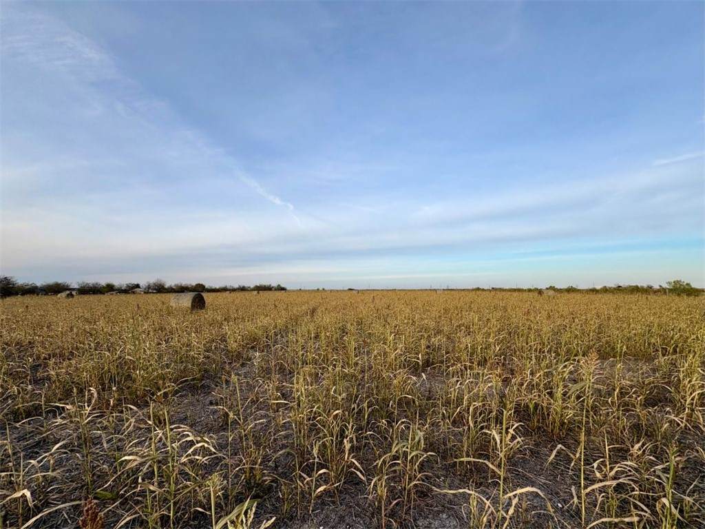 366 County Road 123 - Photo 1