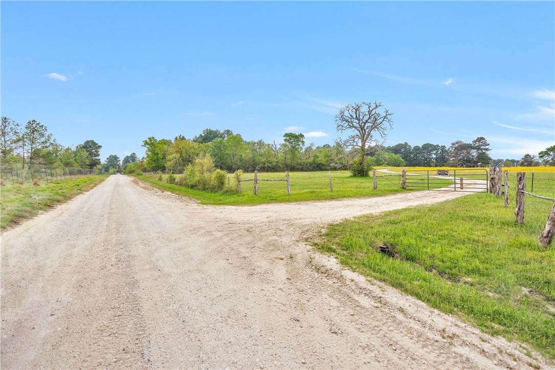 15487 County Road 228 - Photo 1
