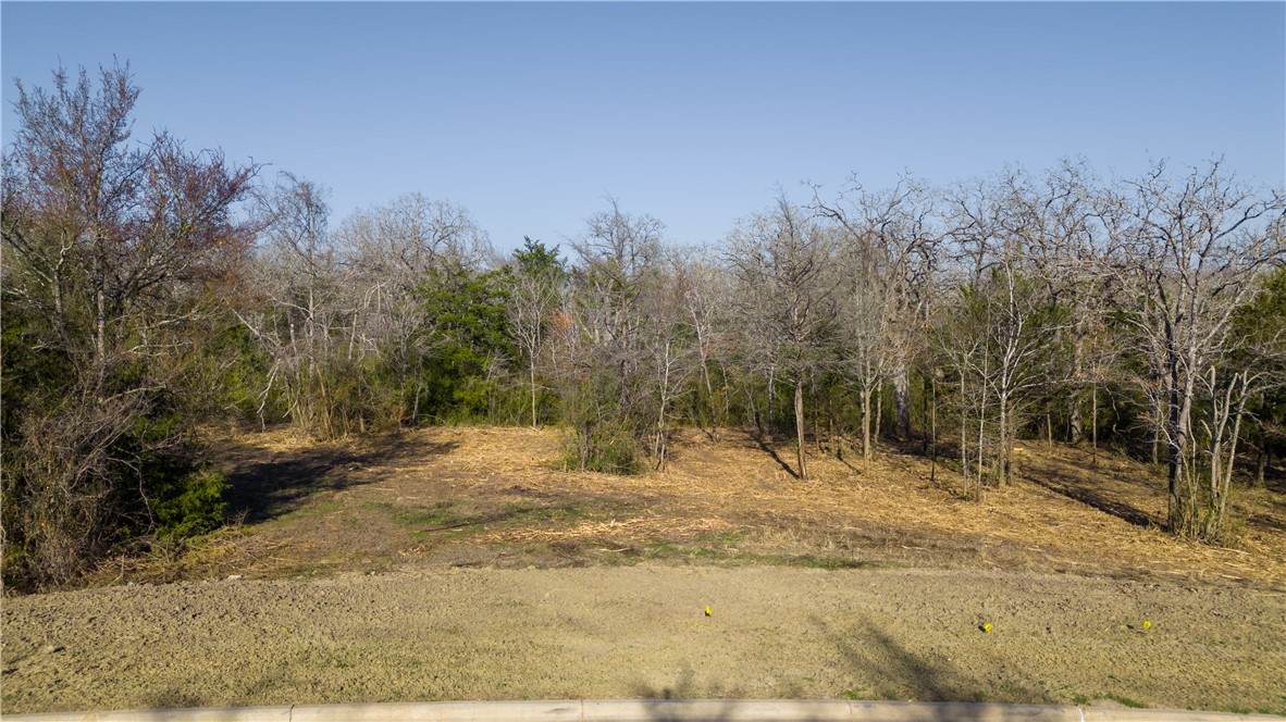 3325 Stephans Crossing - Photo 1