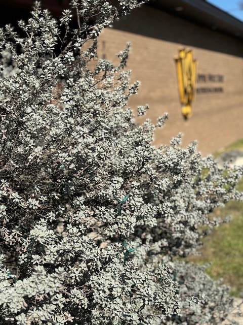 702 Washington Avenue - Photo 1