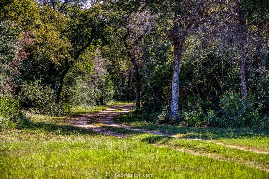3336 County Road 326 - Photo 1