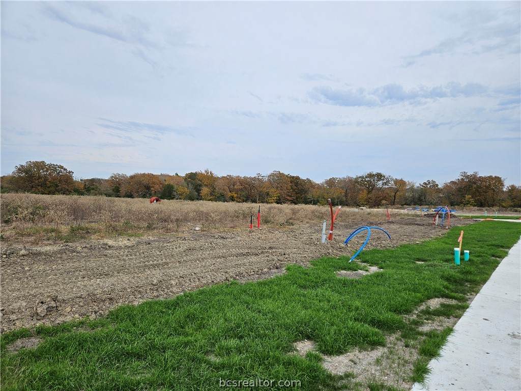 3072 Teller Drive - Photo 1