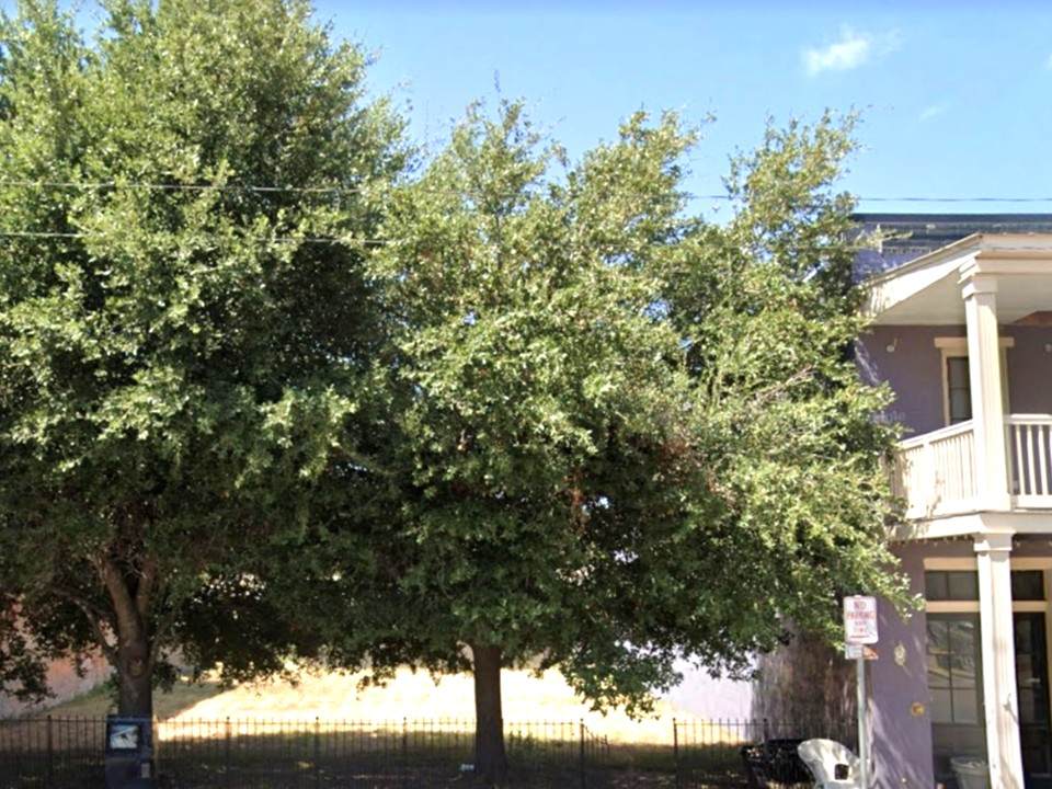 https://bt-photos.global.ssl.fastly.net/bcsmls/orig_boomver_1_26003457-2.jpg