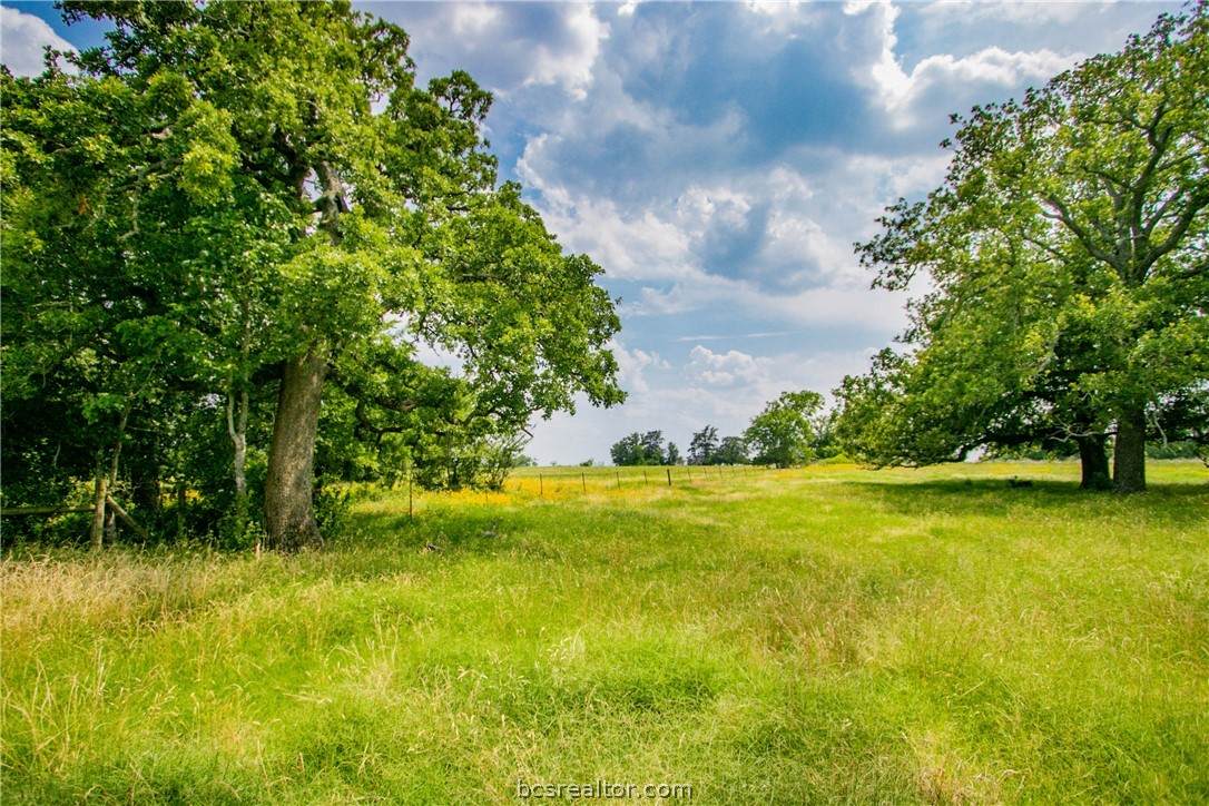 TBD (Lot 26) Legacy Road - Photo 1