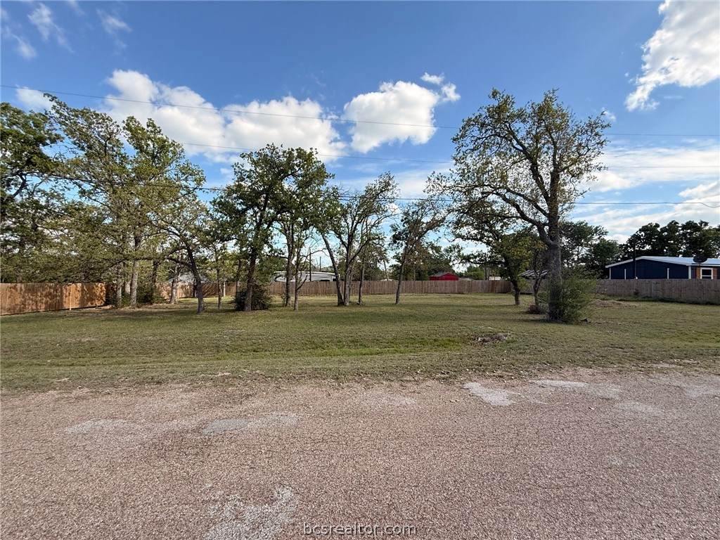 000 Shady Oaks Drive - Photo 1